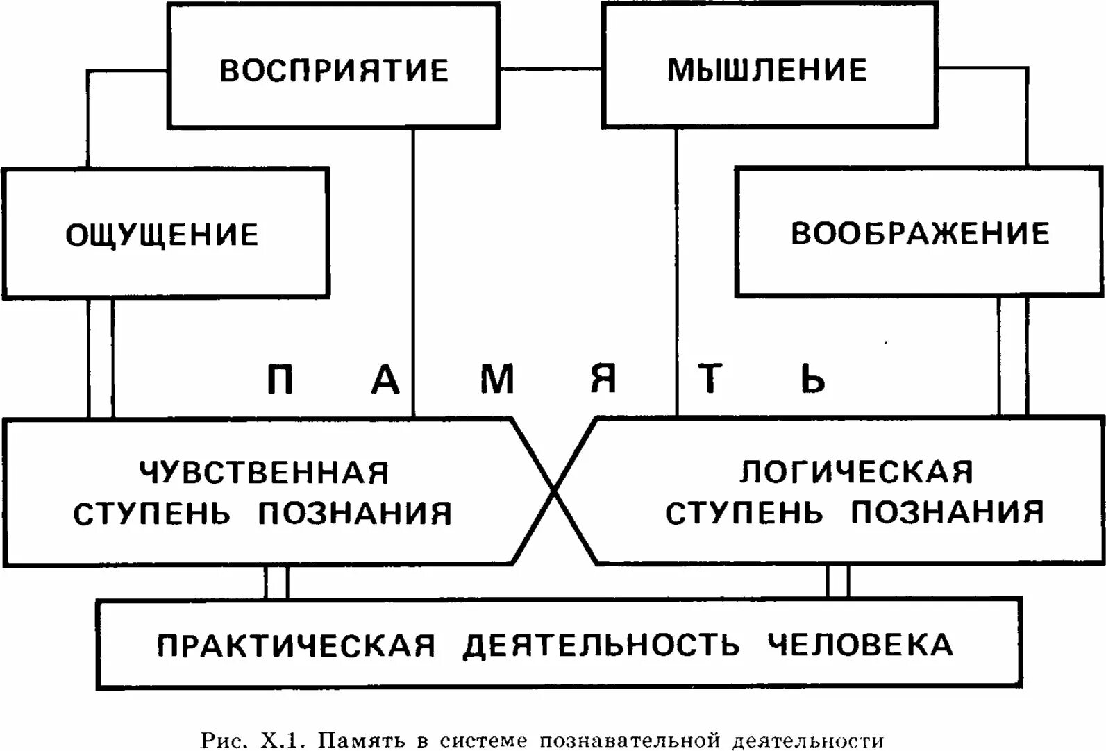 Ощущения память мышление воображение восприятие. Память в системе познавательной деятельности схема. Память в системе познавательной деятельности в психологии. Восприятие в познавательной деятельности. Типы восприятия по м в Гамезо.