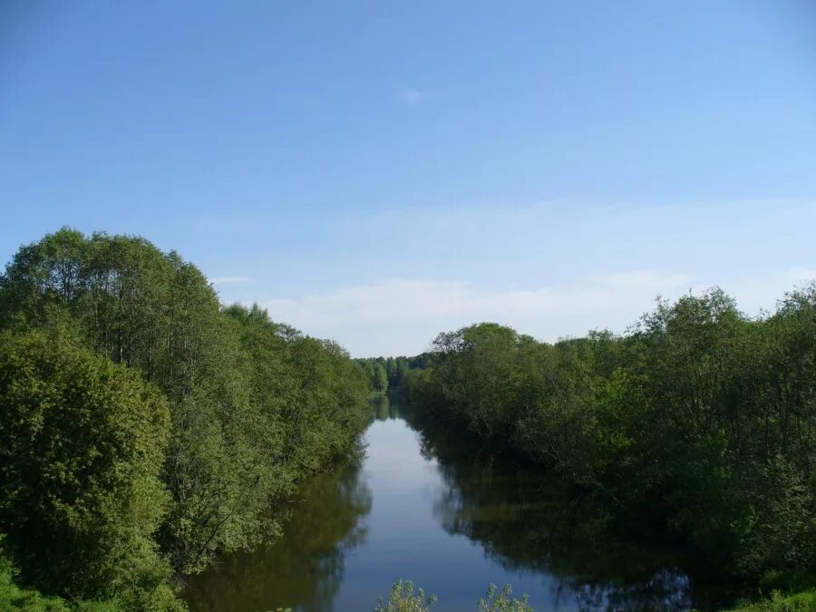река сестра в сестрорецке. река сестра клинский район. сестра речек. речка черная приток сестрорецкий разлив. река сестра клин.