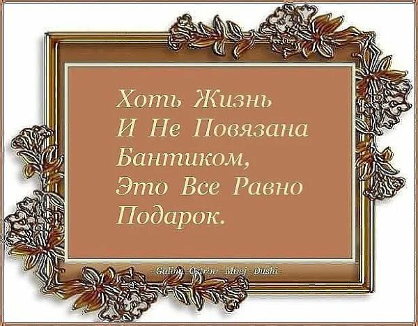 В смысле где живут. Хоть жизнь и не повязана бантиком это все равно подарок. Как важно уметь радоваться пусть даже по мелочам. Как приятно найти человека со схожими мыслями. Как приятно найти отражение человека со схожими.