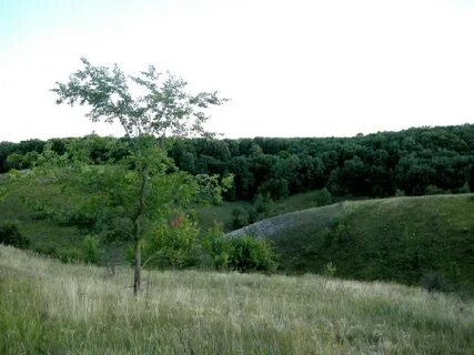 Белгородская обл шебекинский
