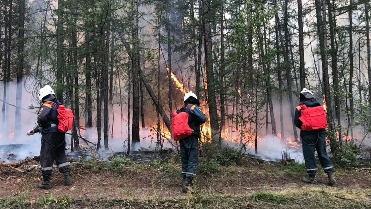 Пожары в Якутии. Пожары в Сибири. Лесные пожары в Сибири 2019. Природные пожары Иркутск.