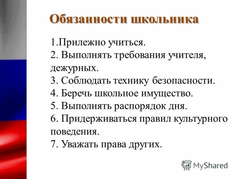 Конституция для школьников. Обзонось школьника.