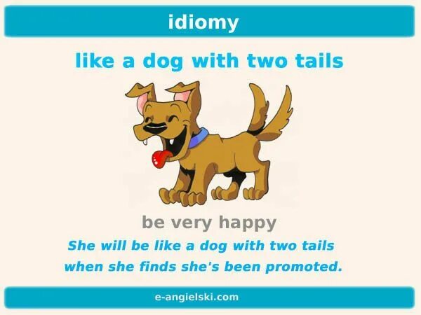 Dog idioms. Like a Dog with two Tails. Идиома to be like a Dog with two Tails. Idioms with Dogs. Ronda s dog is not long перевод