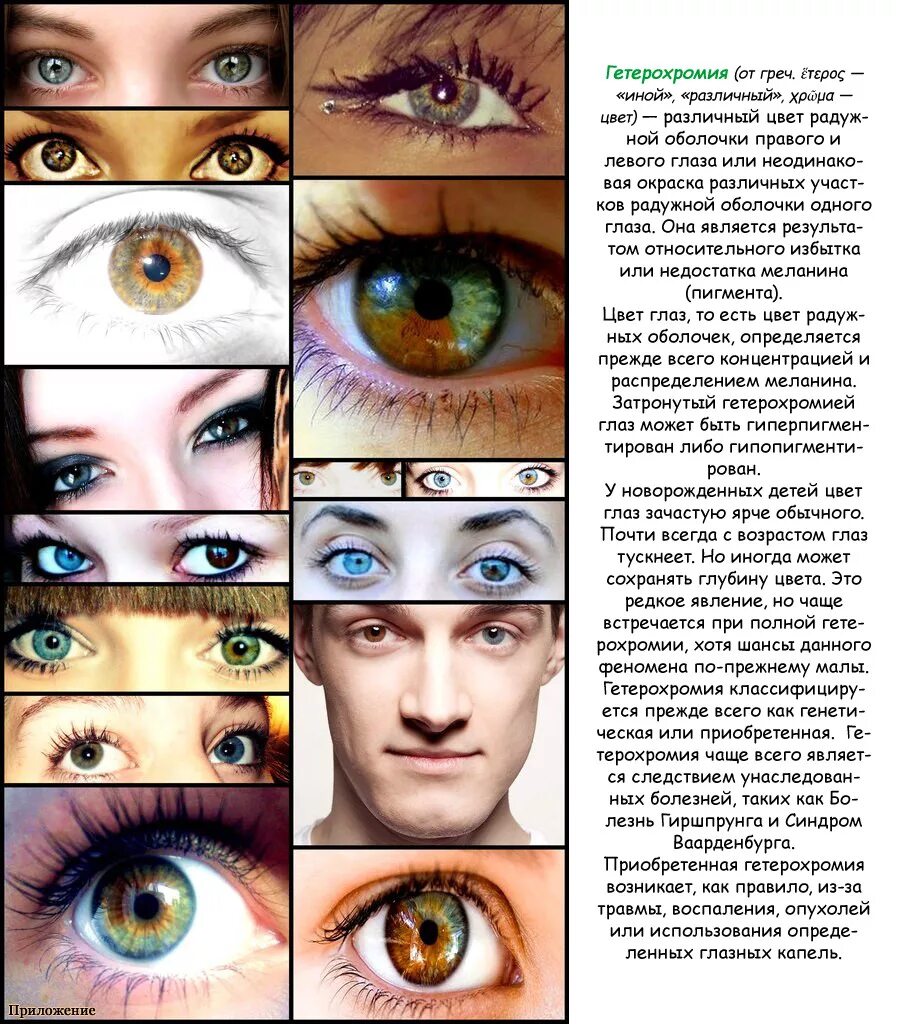 Всевозможные цвета глаз. Цвета глаз у человека. Меняется цвет глаз. Поменялся цвет глаз. Глаза меняются от настроения