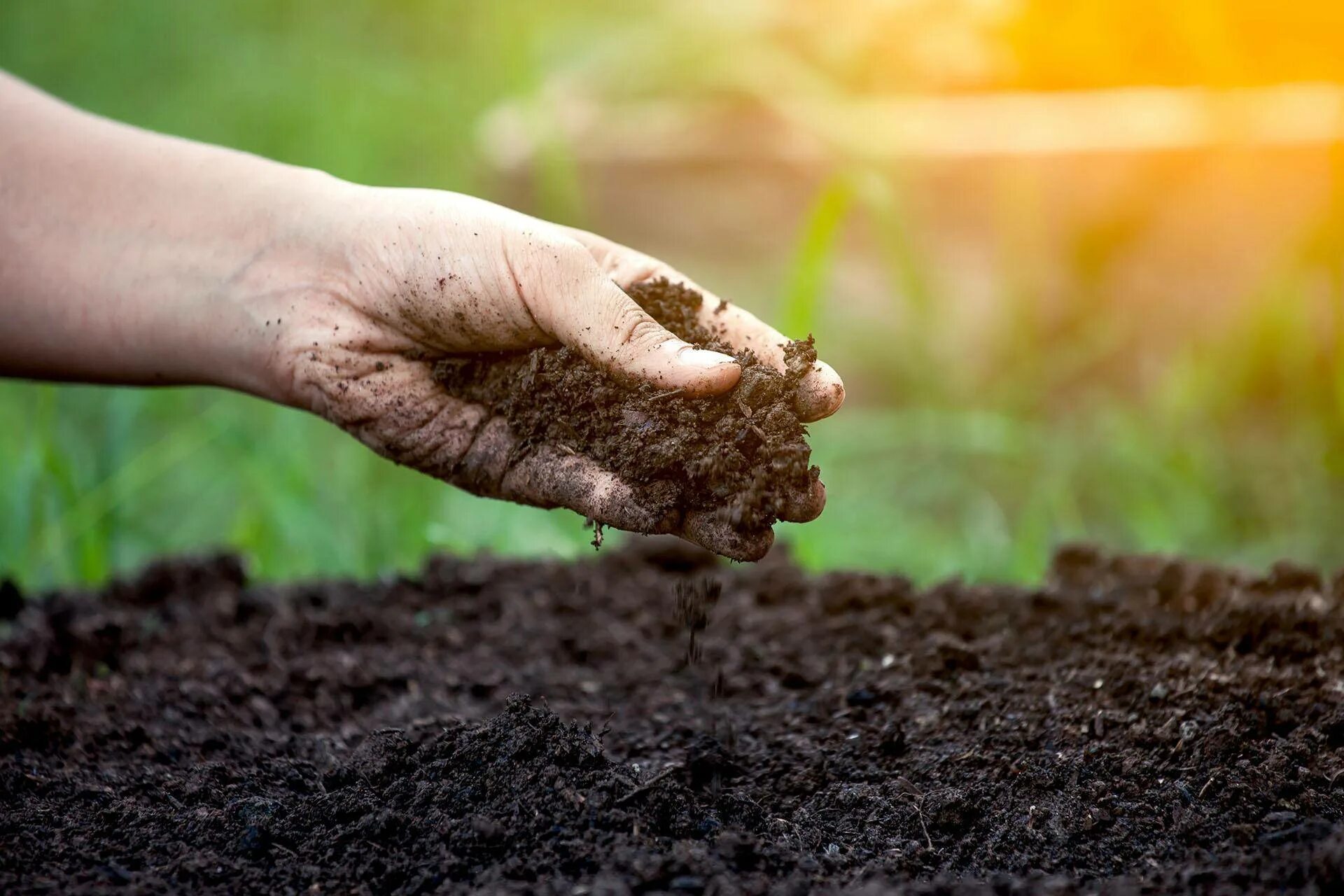 Какую лучше купить почву. Почва. Земля почва. Плодородие почвы. Почва в руках.