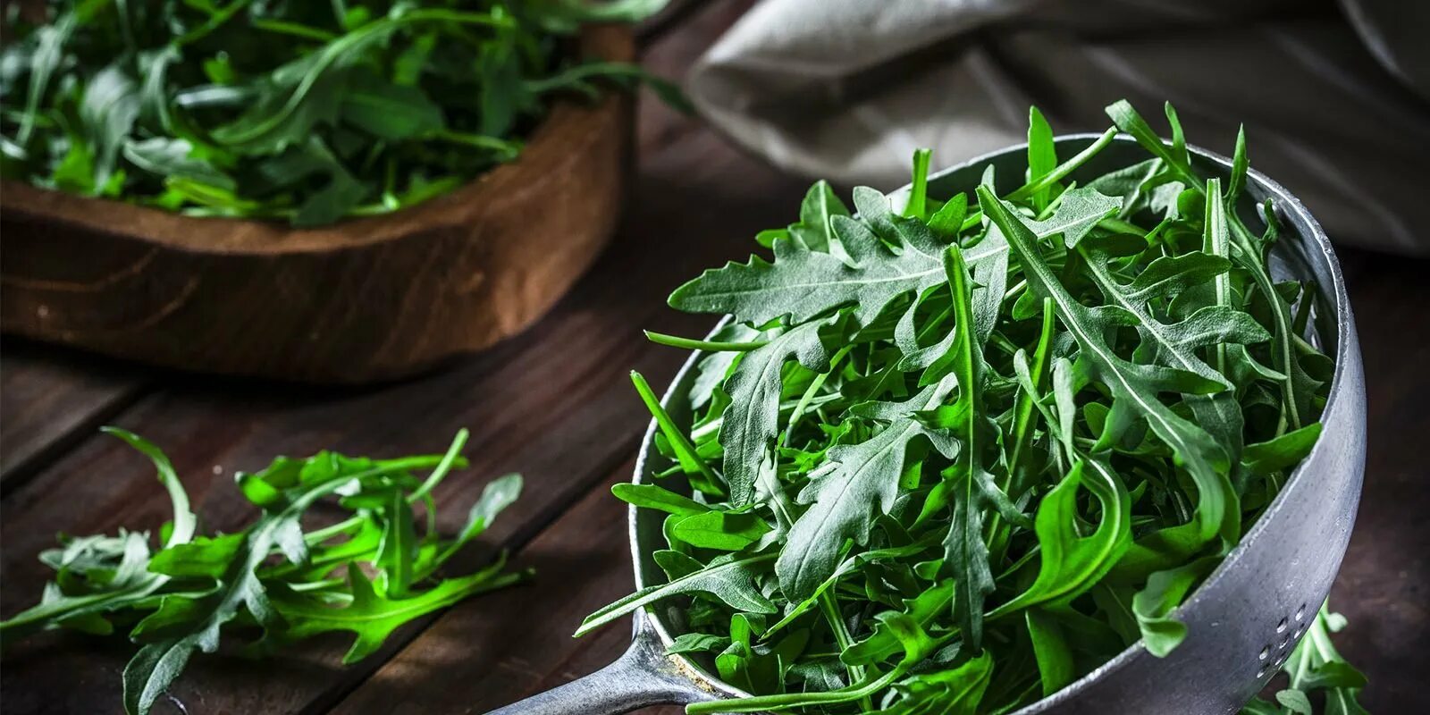 Кервель петрушка. Шпинат, руккола, капуста. Зелень кинза (кориандр). Петрушка,кашнич,кинза. Зелень.