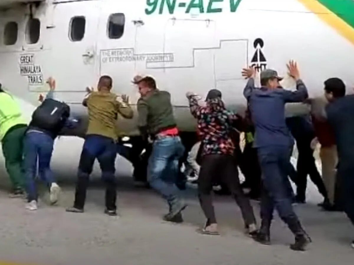 Козы залазят в машину. Забавные инциденты. Забавные инциденты. 2022. Утки нападают на людей.