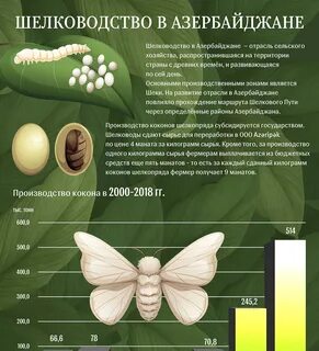 Шелкопряд песня