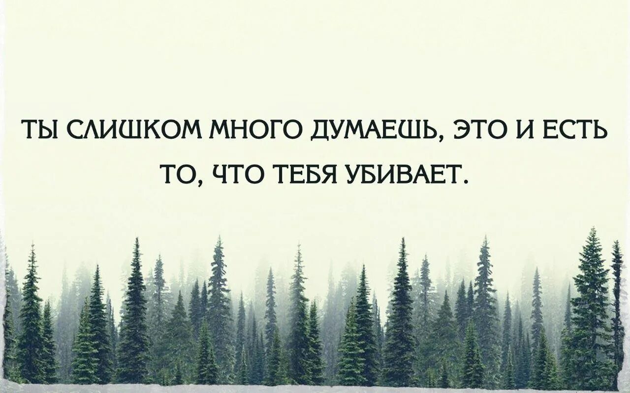 Наблюдаю цитаты. Верь в лучшее цитаты. Хорошие цитаты. Хочется верить в лучшее цитаты. Статусы про перемены в жизни.