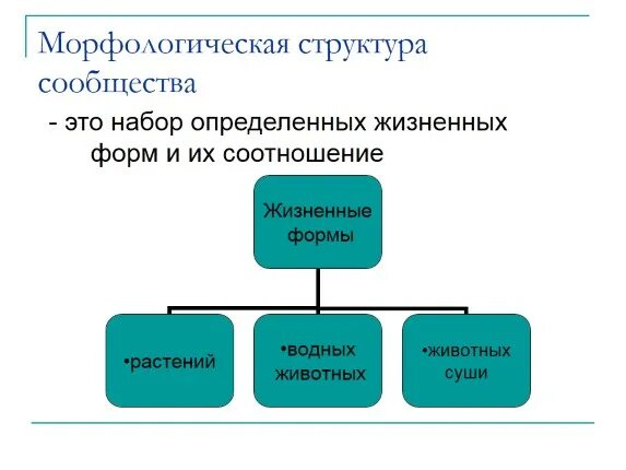 Структура растительного сообщества биология кратко. Структурами сообщества морфологическая структура. Морфологическая структура сообщества это в биологии. Морфологическая структура сообщества биология схема. Морфологическая структура экосистемы.