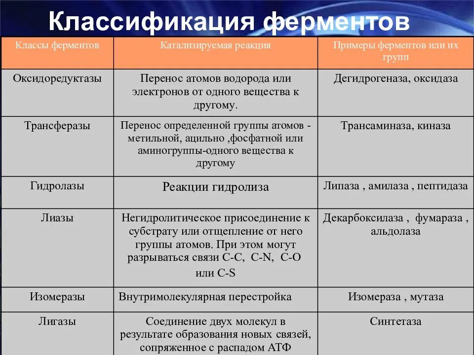 Тест ферменты биология 10 класс. Классы ферментов и реакции катализируемые. классы фермента тип реакции. классификация ферментов и катализируемых реакций. классификация ферментов таблица.