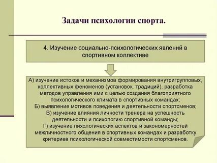 Важным социально психологическим феноменом в спорте является