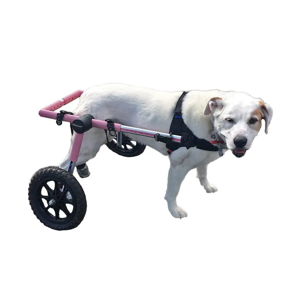 Инвалидная коляска для собак Walkin Wheels. Инвалидные коляски Dog wheelchairs. Коляска для собак Walkin' Wheels. Skyline PETSPRO коляска для собак.