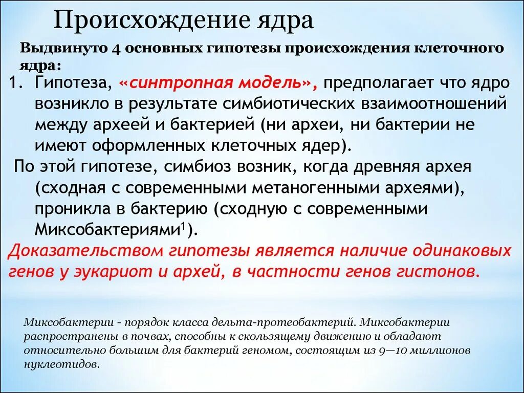 Гипотезы происхождения ядра. Происхождение ядра клетки.