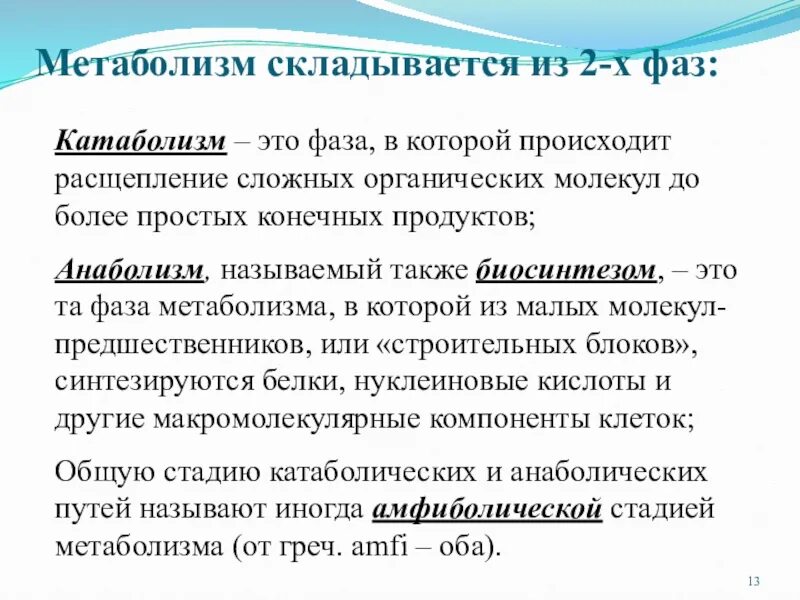 Катаболизм происходит. Метаболизм схема анаболизм и катаболизм. Метаболизм катаболизм и анаболизм взаимосвязь. Основные этапы катаболизма веществ. Катаболизм и анаболизм биохимия.