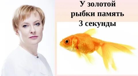 Память как у рыбки