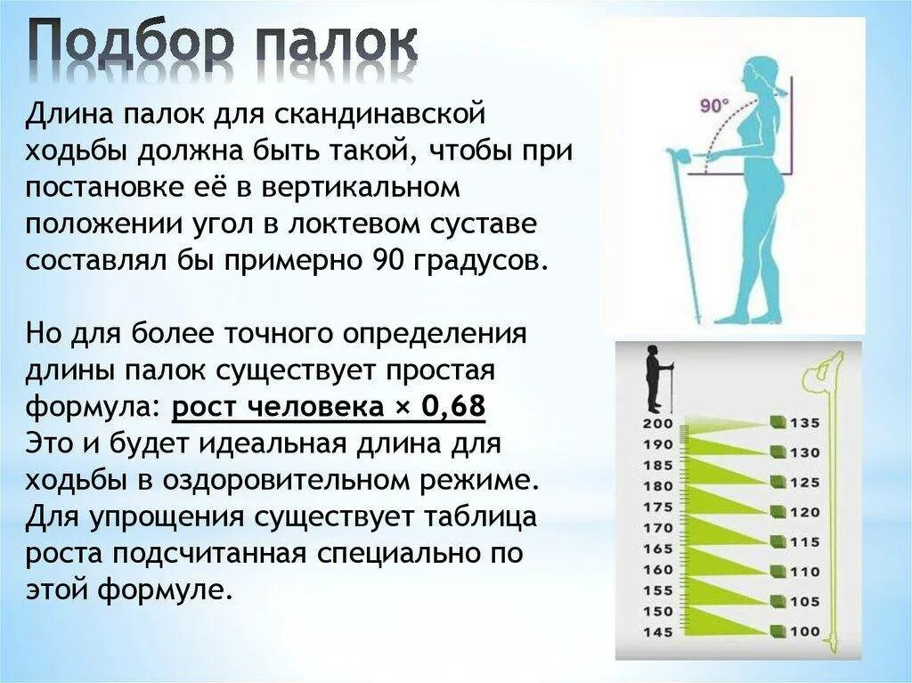 Какой длины палки для скандинавской ходьбы. Палки для скандинавской ходьбы Размеры. Палки для скандинавской ходьбы на рост 168 см. Размер палки для скандинавской ходьбы на рост 170. Правильная регулировка палок для скандинавской ходьбы.