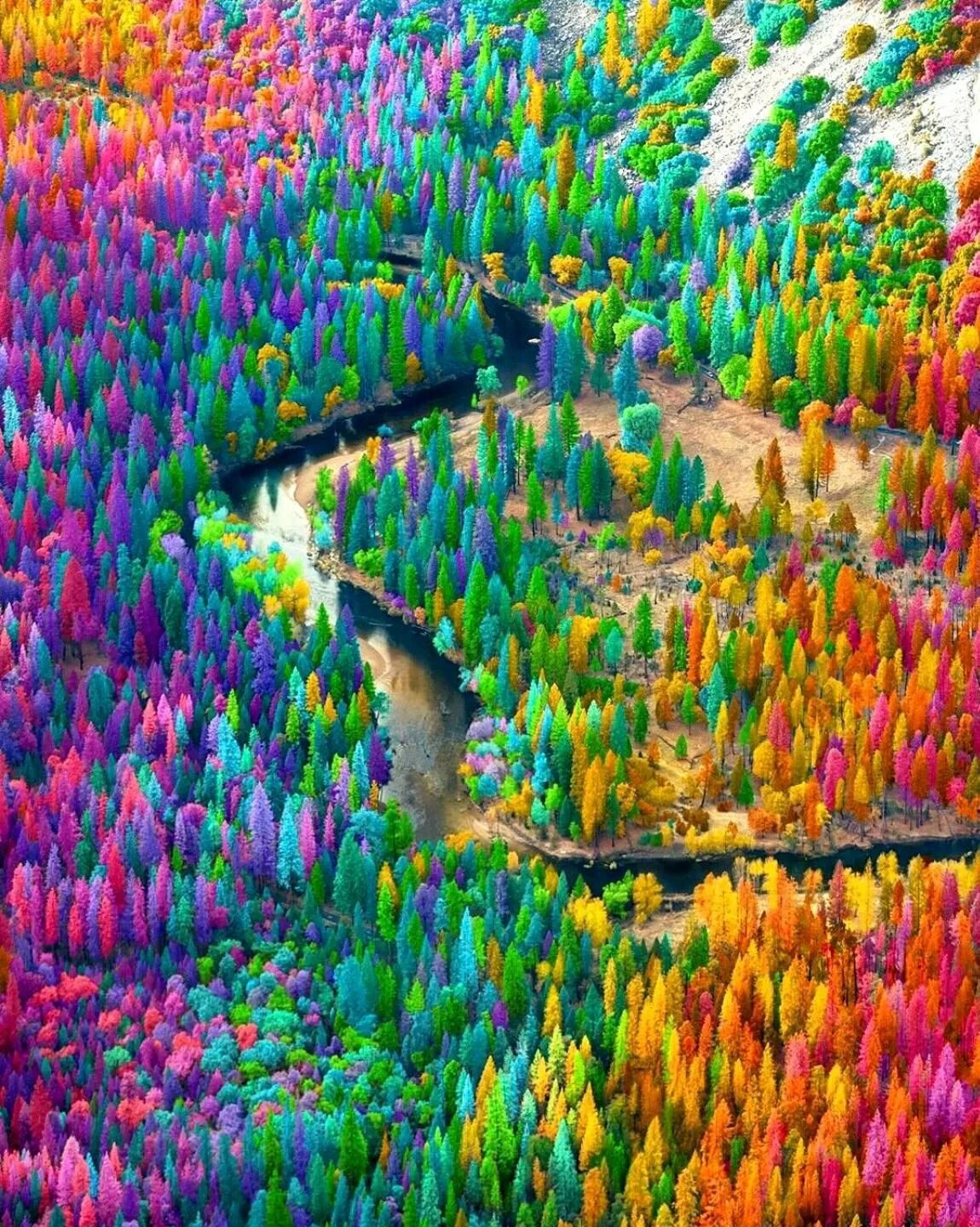 Невероятный цвет. Рамзи Масри художник. Необычные пейзажи. Яркие краски природы. Разноцветная природа.
