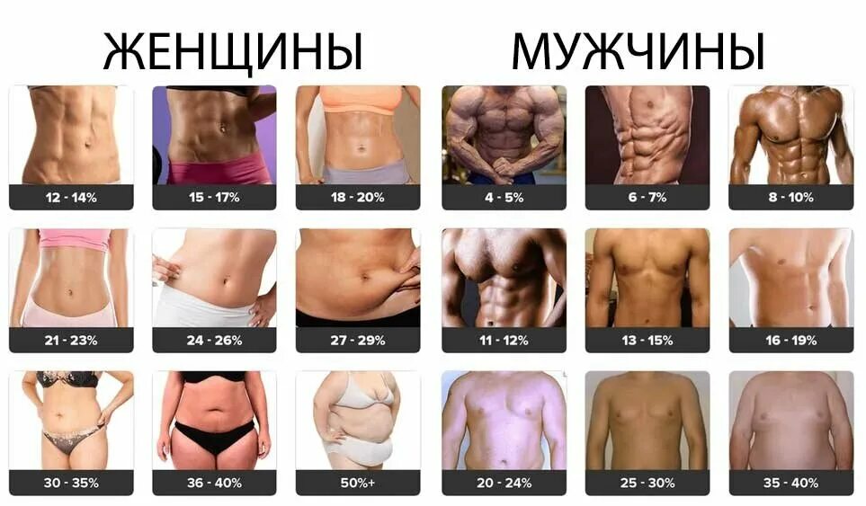 Процент жирности человека