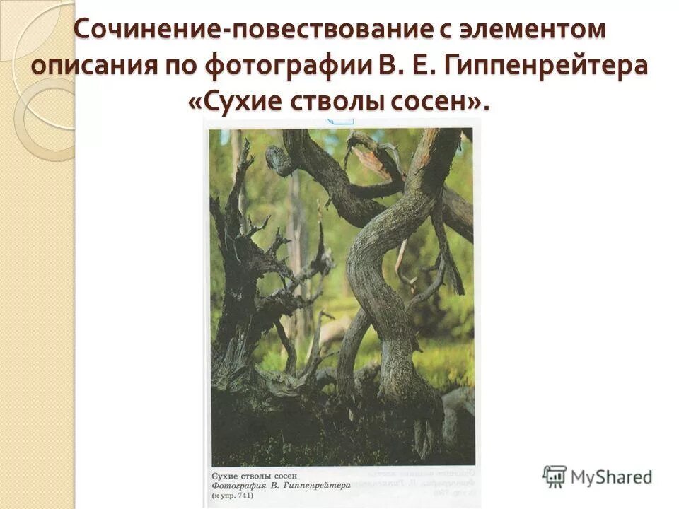 Сочинение повествование 7 класс примеры Сочинение повествование план 6 класс