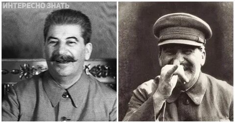 Лучше расстрелять
