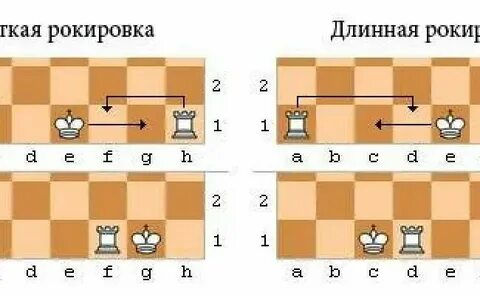 Рокировка 2 дворянин поневоле