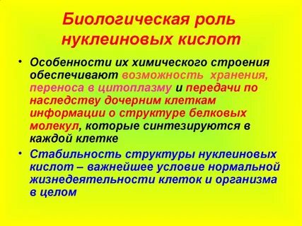 Роль нуклеиновых кислот в жизнедеятельности