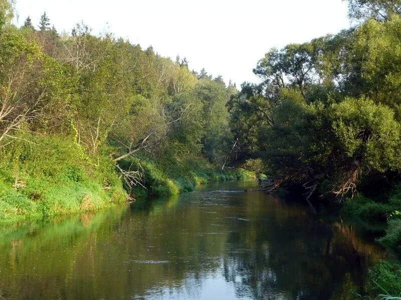 река попасная, еховскийрайон. река лопасня хатунь. река лопасня чехов. лопасня чеховский район. нерастанное лопасня река.