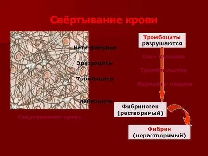 Свертывание происходит благодаря