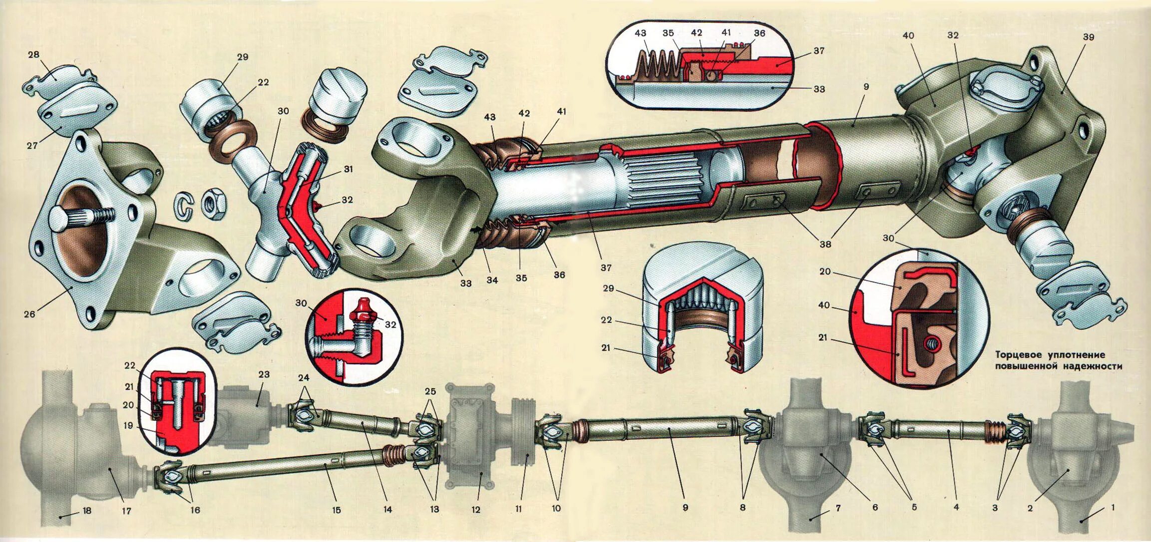 Зил 131 прокладки. Карданная передача автомобиля ЗИЛ 131. ЗИЛ 131 кардан заднего моста. Кардан ЗИЛ 131 передний. Кардан на раздатку ЗИЛ 131.