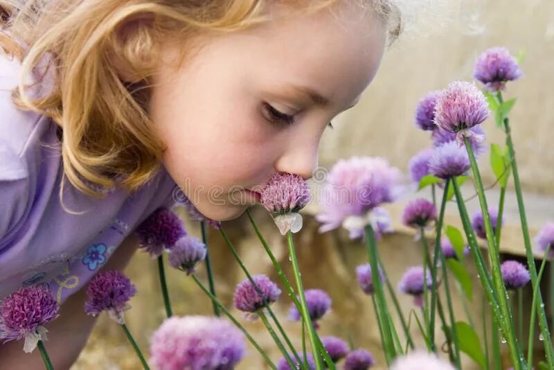 Why you smell this flower