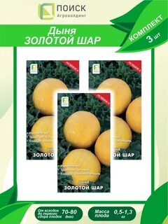 Дыня золотистая