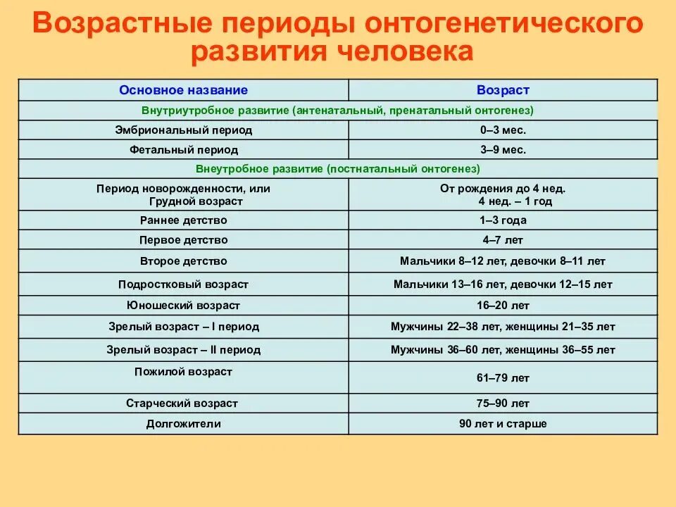 Возрастные рамки детей. Возрастные периоды онтогенетического развития человека. Возрастные периоды онтогенетического развития таблица. Индивидуальное развитие и возрастная периодизация. Периодизация индивидуального развития человека.