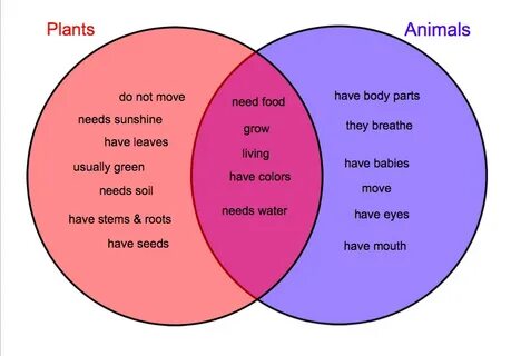 Many plant and animal