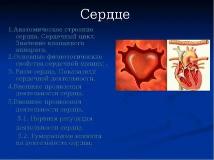 Сердце реферат