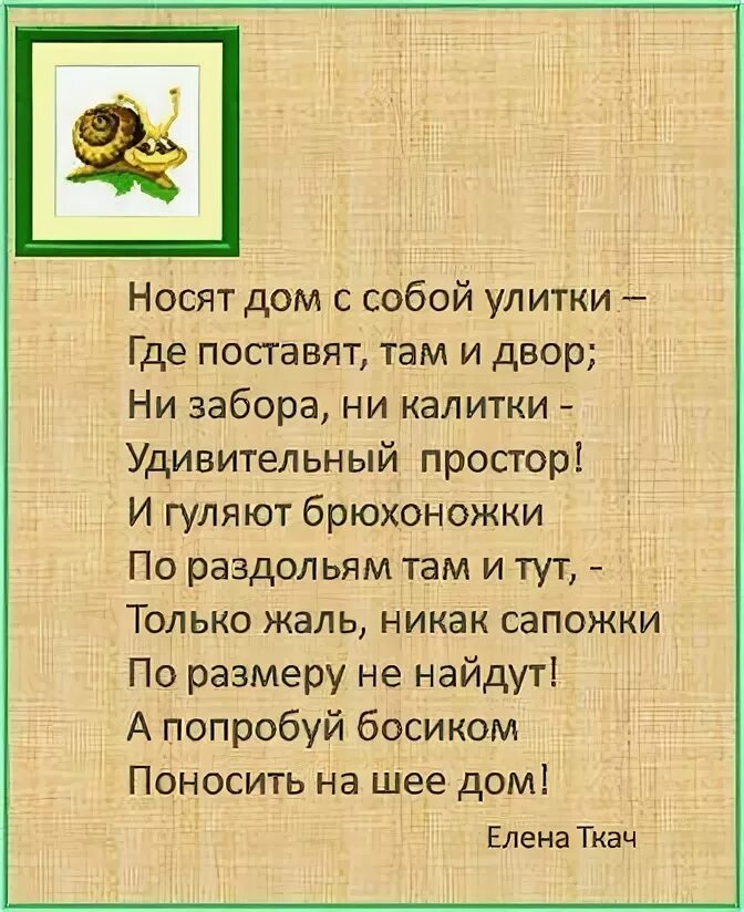 Улитка стих