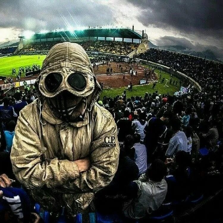 P company. Company goggle jacket. P company. P company белая. Куртка сипи компани зеленая.