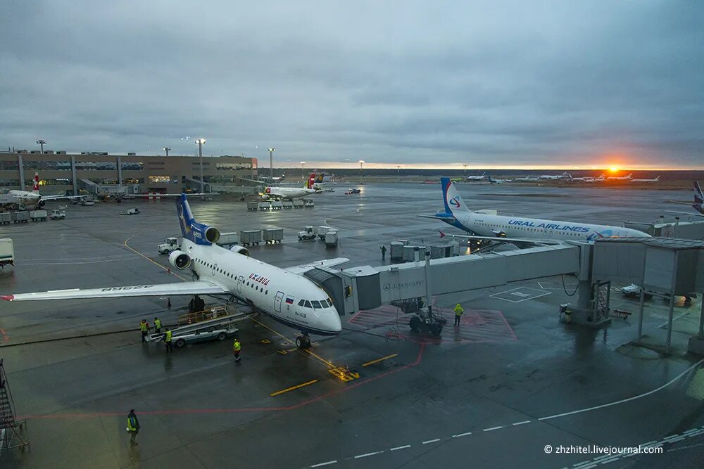 Аэродром домодедово. Самолет домодедово. Аэродром домодедово. Самолет домодедово. Домодедово s7 хвосты.