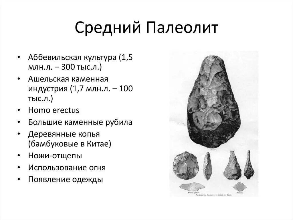 Нижний палеолит Тип человека. Поздний палеолит - каменный век культура. Средний палеолит орудия труда. Нижний ранний средний палеолит. Полиолит