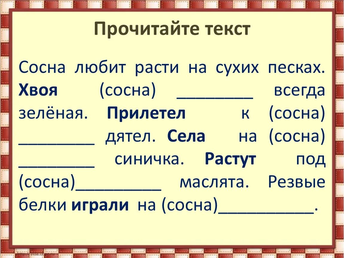 Определить падеж сосновую. Сосна любит расти на сухих Песках хвоя сосны всегда зеленая. Сосна любит расти на сухих. Сосна любит расти на сухих Песках. Три сосны текст.