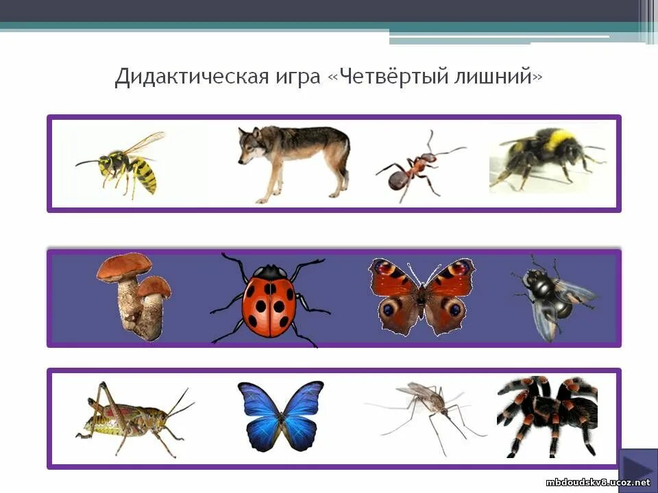 Дидактическая игра насекомые. Дидактические игры насекомые в старшей. Тема насекомые для дошкольников. Дидактические игры насекомые в старшей. Насекомые для дошкольникл.