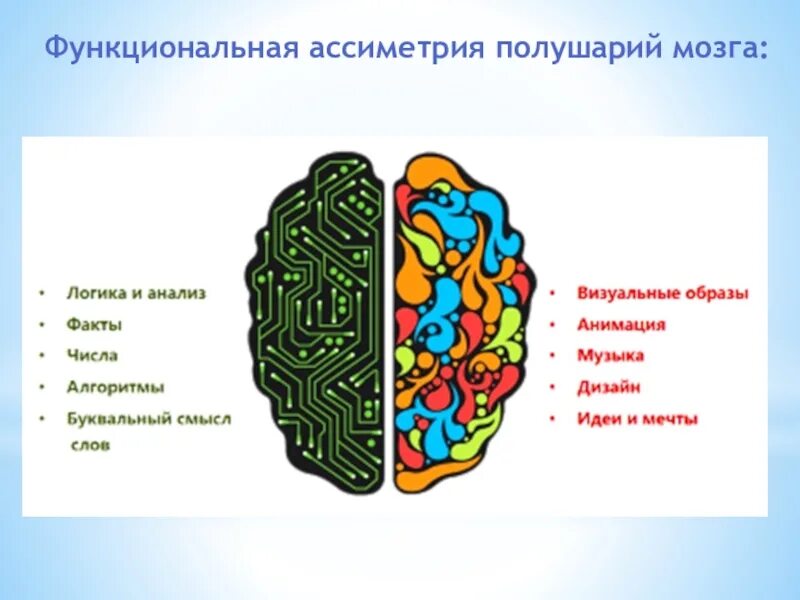 Левое полушарие какая рука