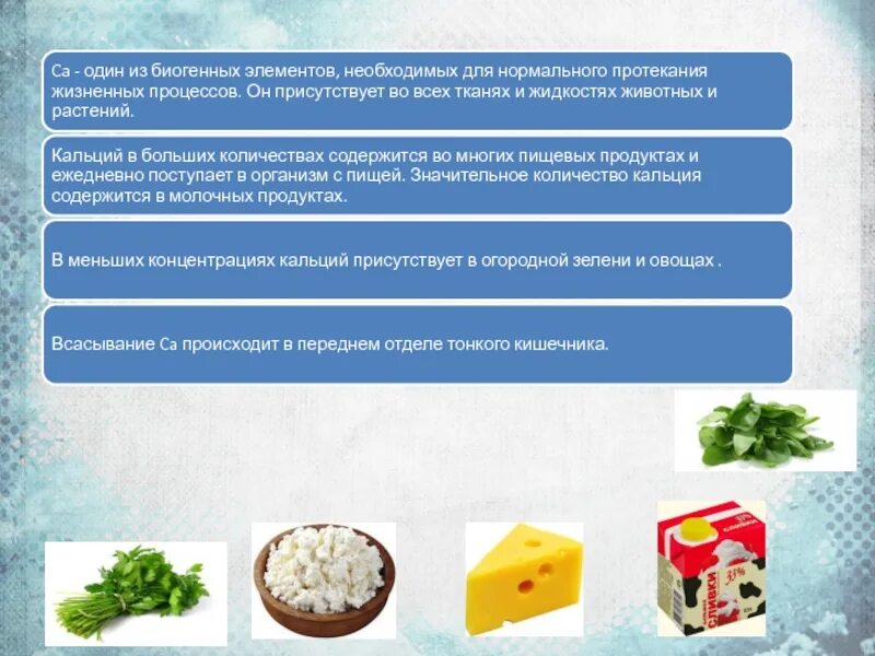 Роль биогенных элементов. Кальций биогенный элемент. общая характеристика s элементов биогенных элементов. биогенная роль элемента кальций. кальций значение для растений и животных.