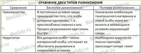 Эволюционное значение полового и бесполого размножения