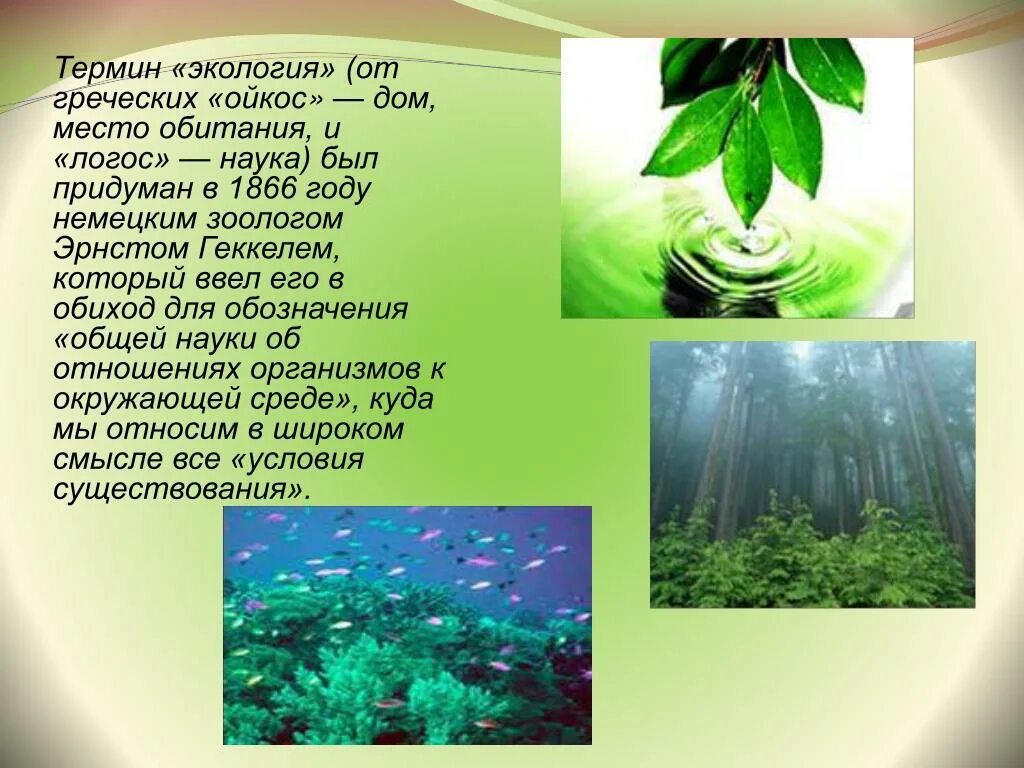Экология и здоровье презентация. Экология как наука среда обитания организмов. Наука изучающая среду обитания. Экология как наука среда обитания организмов. Экология как наука среда обитания организмов.