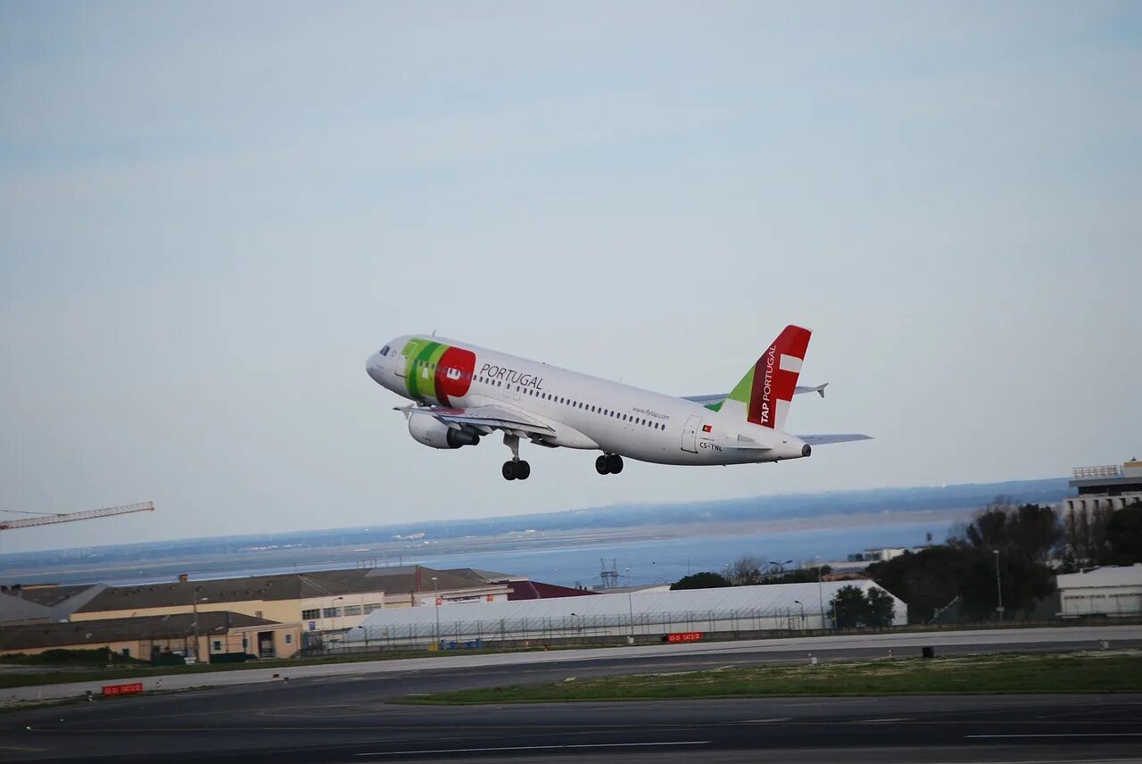Tap portugal airlines. Воздушный транспорт. Москва португалия самолет. Аэропорт фуншал мадейра. Москва португалия самолет.