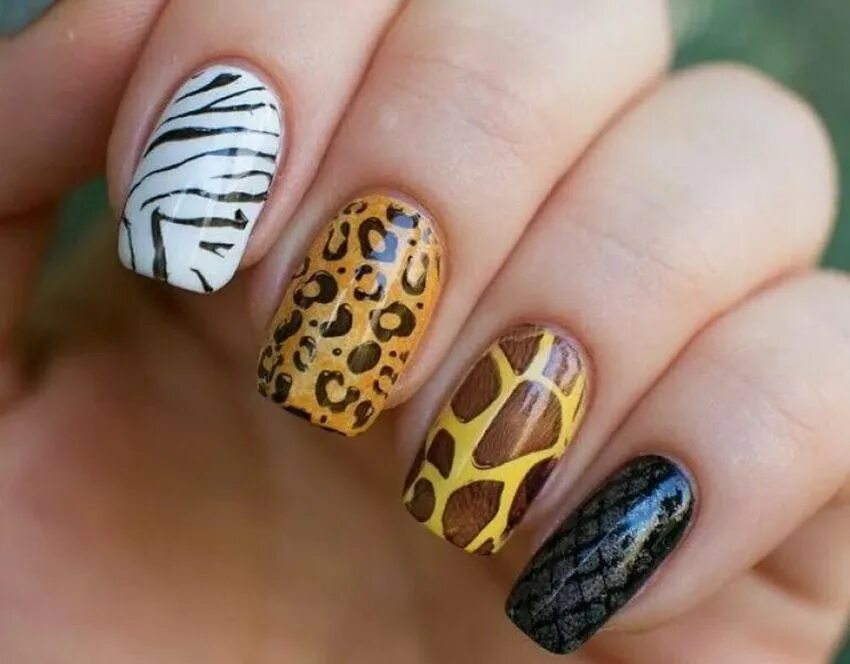 Pin on Nail Art & make-up in 2025 Leopard nails, Nail art, Leopard print nails
