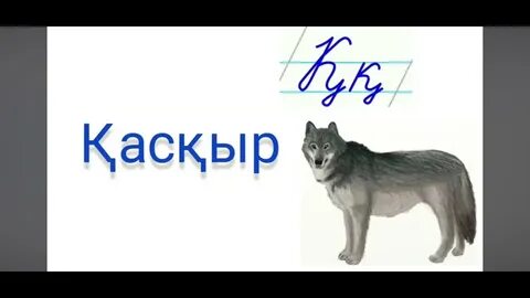 Физикалық махаббат секс видео