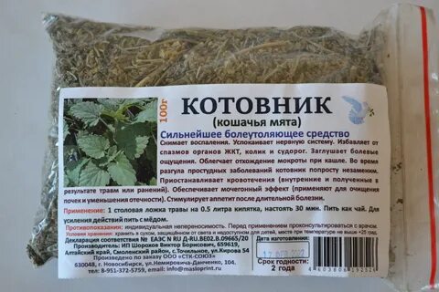 С какого возраста котенку можно кошачью мяту