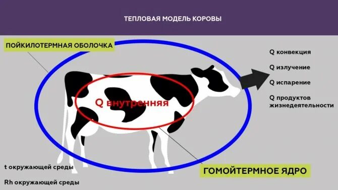 Определение микроклимата животноводческих помещений. Микроклимат для крс. микроклимат в животноводческих помещениях крс. параметры микроклимата для крс. микроклимат животноводческих помещений для крупного рогатого скота.